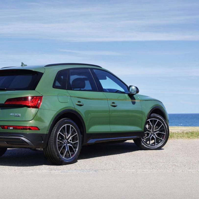 一头灵魂出窍的猪