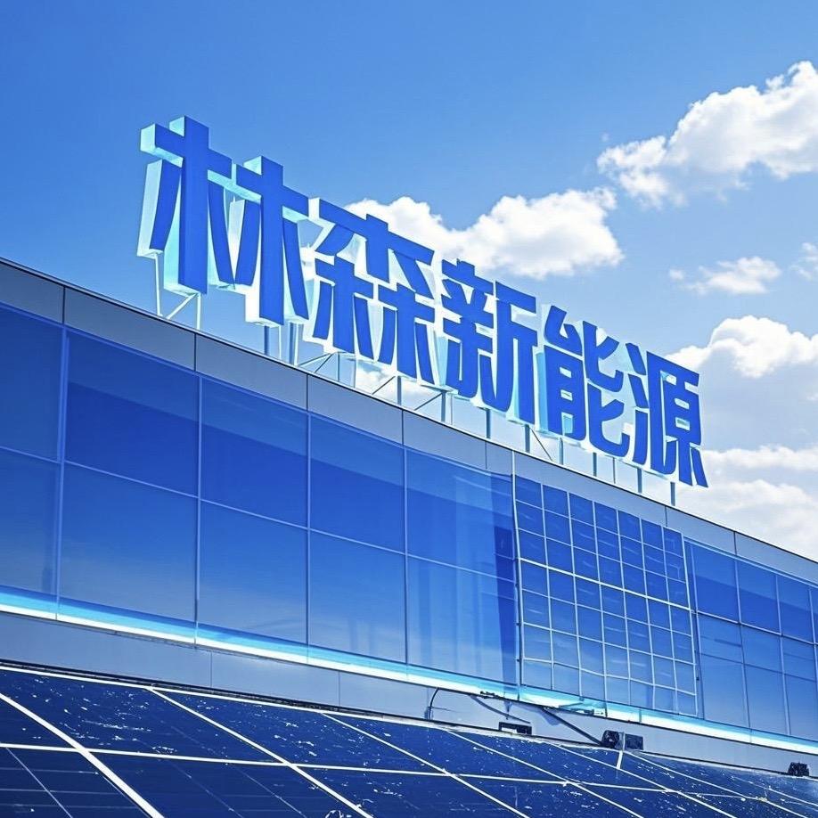 九江林森光伏（租屋顶，建电站）