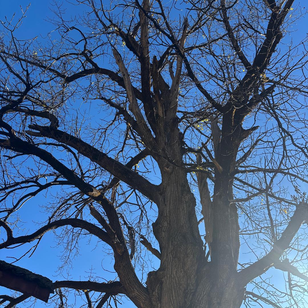 德青卓玛🧚🏼‍♀️