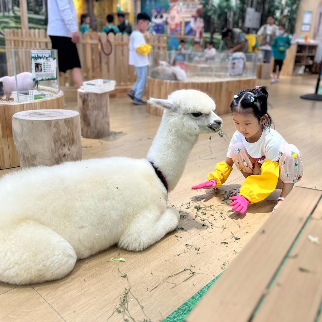 妞妞麻麻