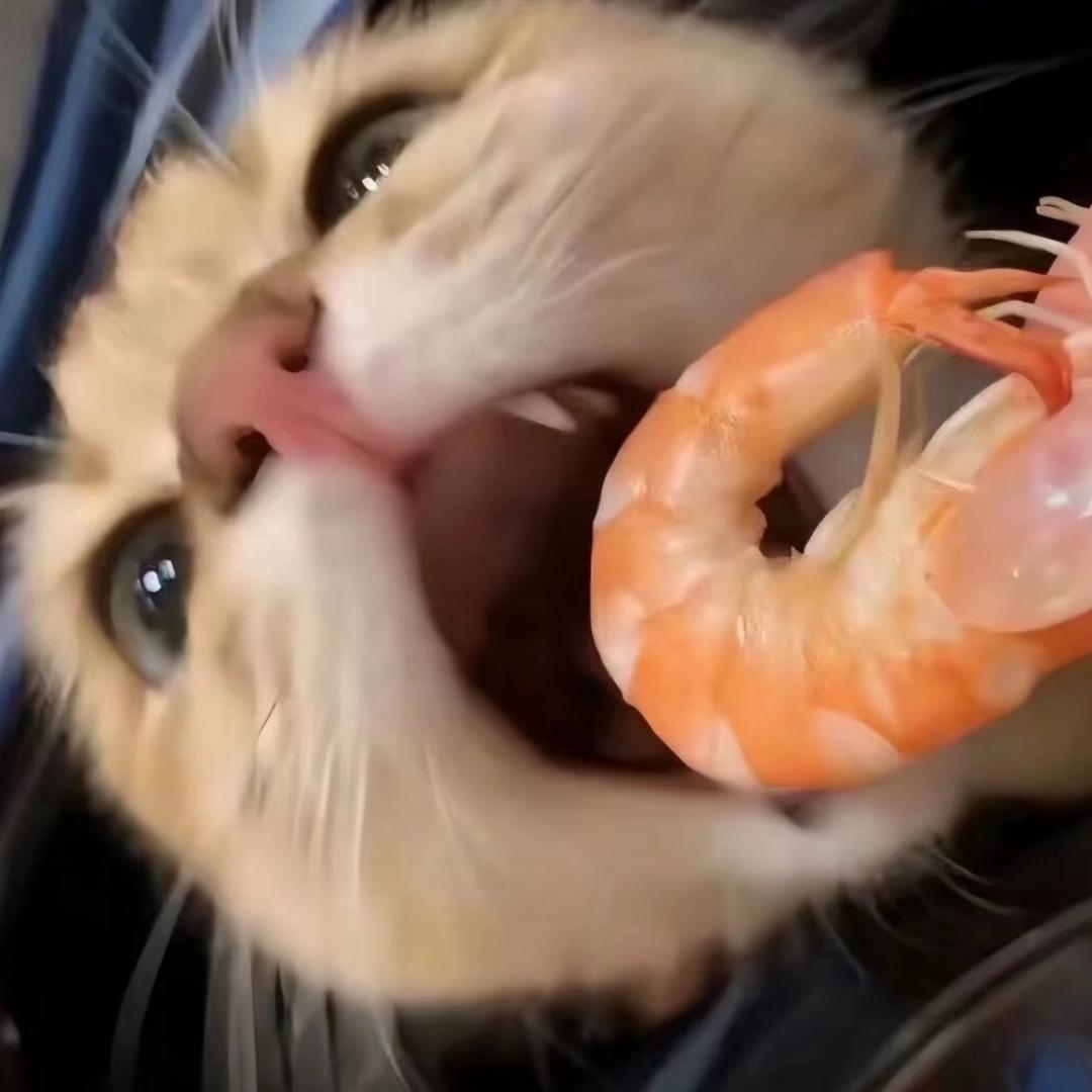耶耶Oᴗoಣ