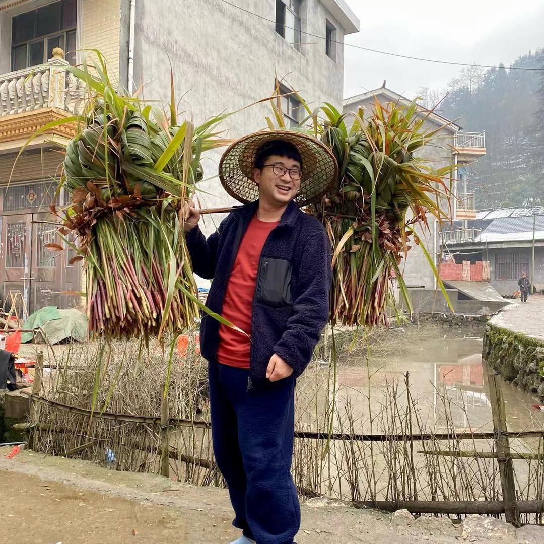 三屯根哥