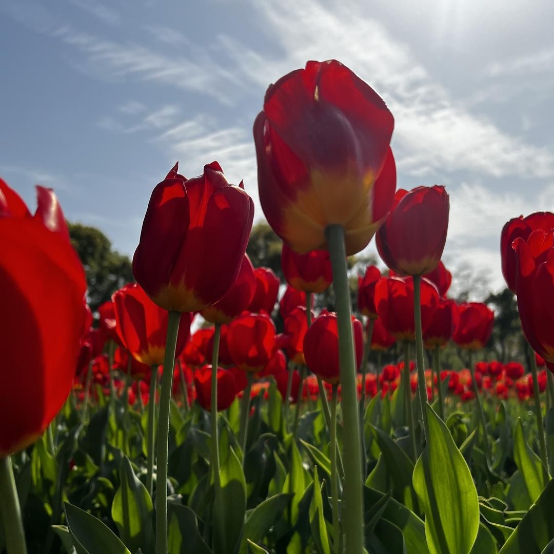 上海班马找工实业有限公司