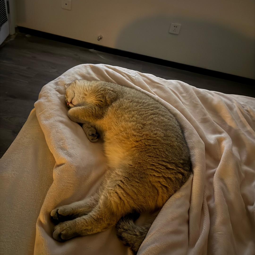 可可、抖音绝世好女人