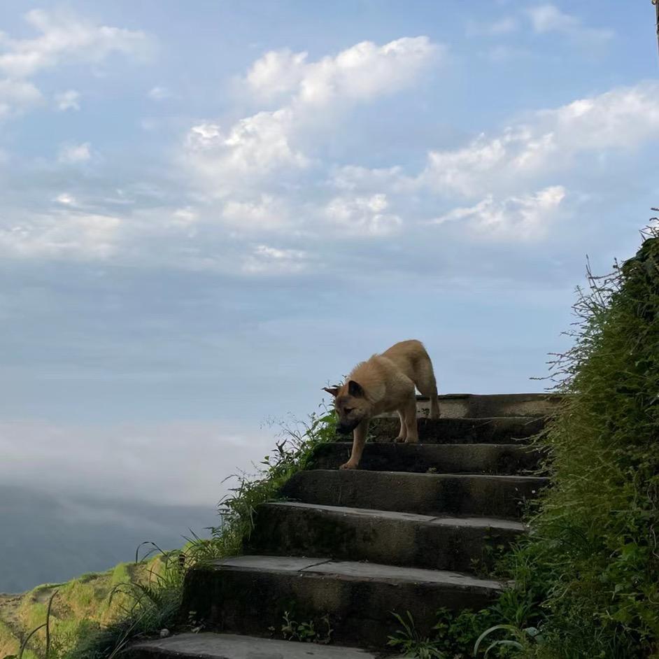邪吻倾城