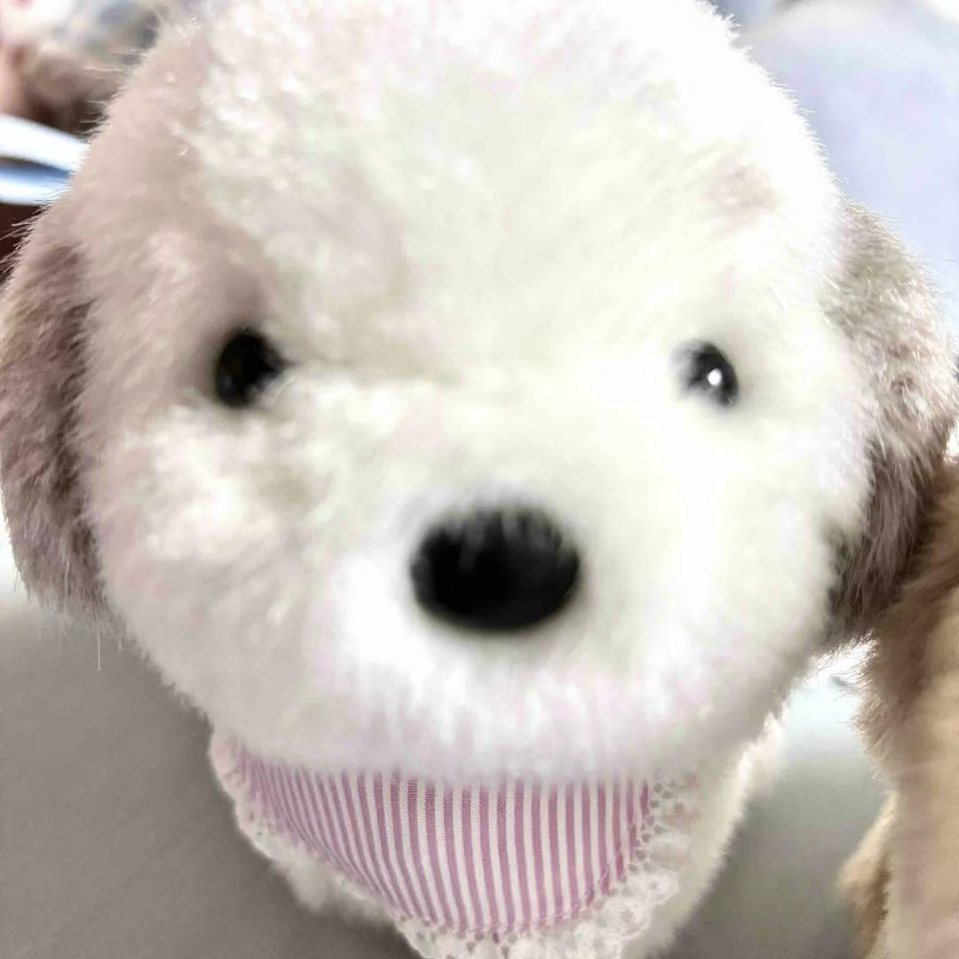 吃吃小鸭