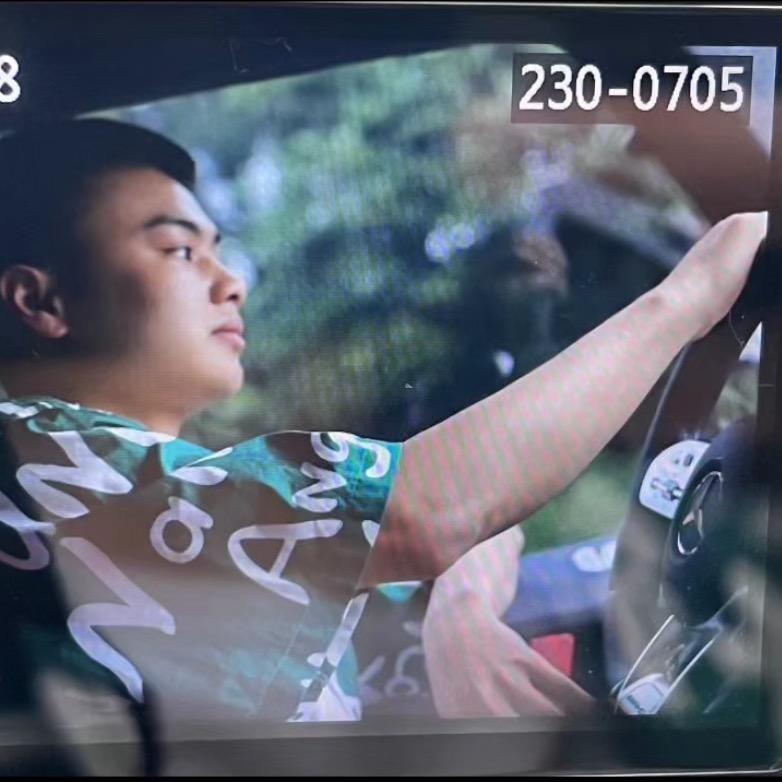 迟到的春天