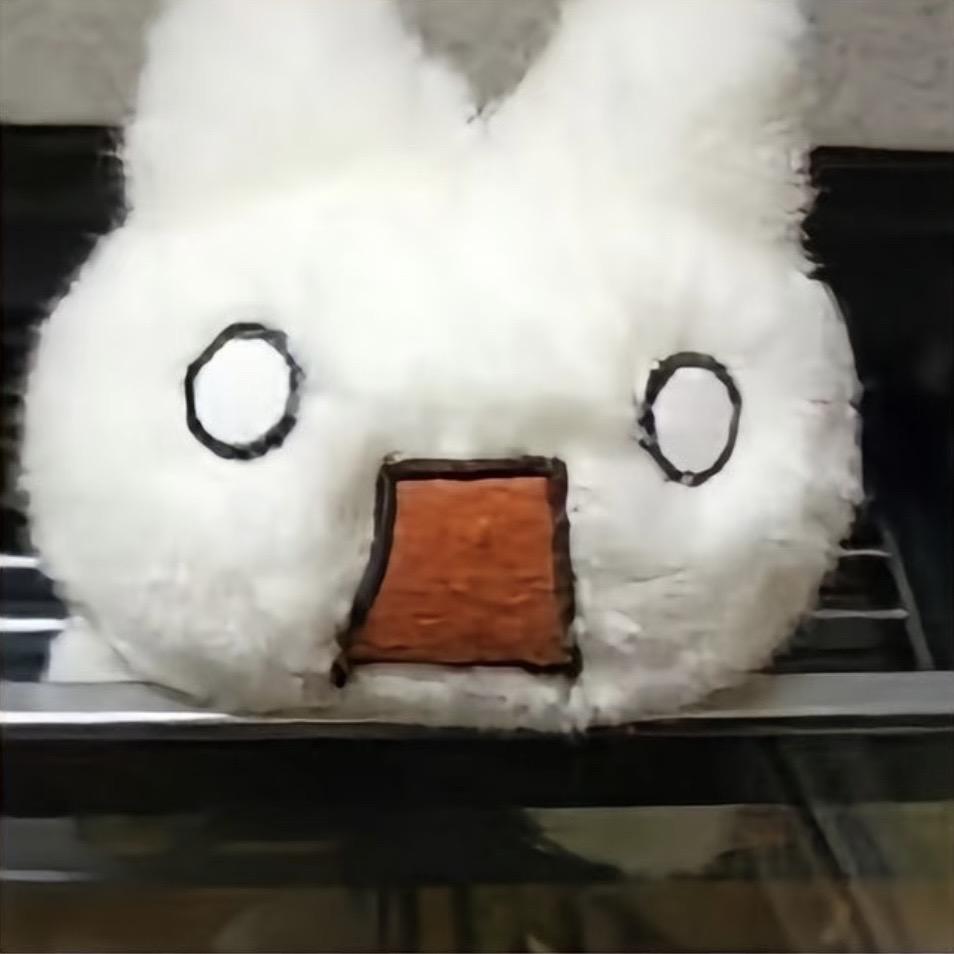 蛋炒范🍚