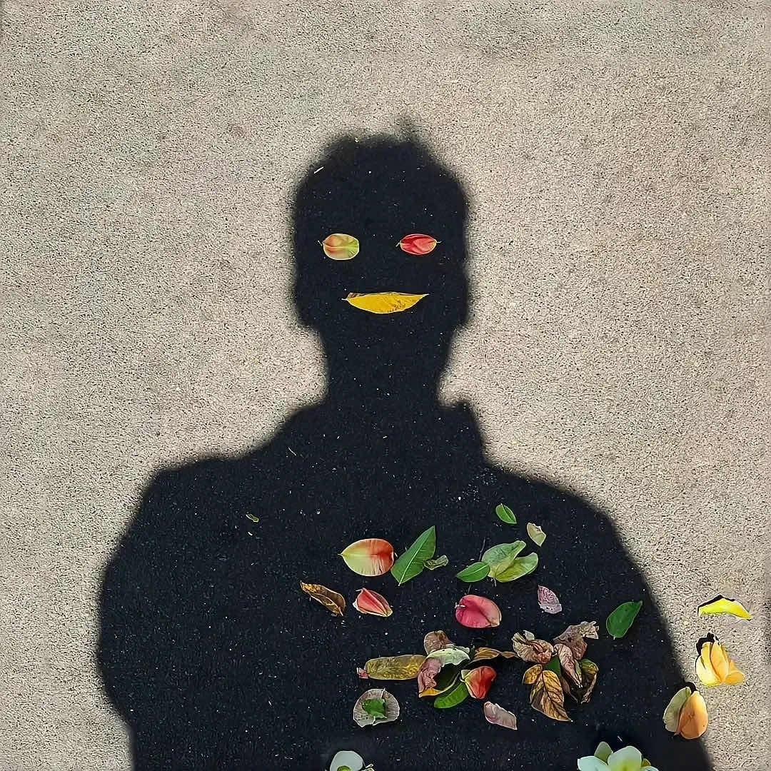 楦
