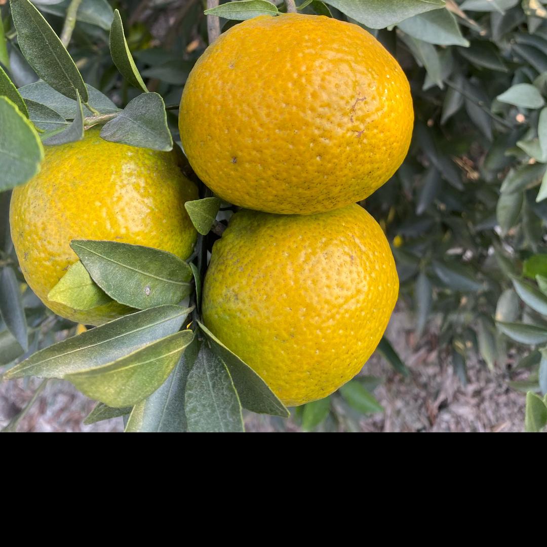 好好