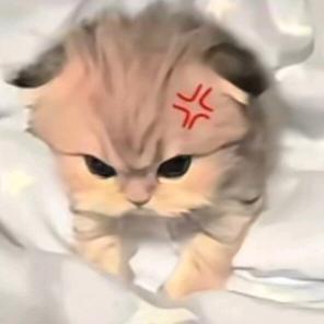 小肥羊有点饿