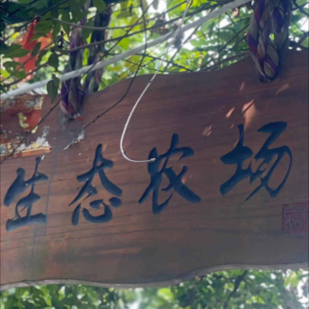 鲜鲜精选