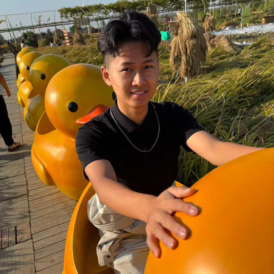 小龙