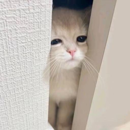 我只有一个萍