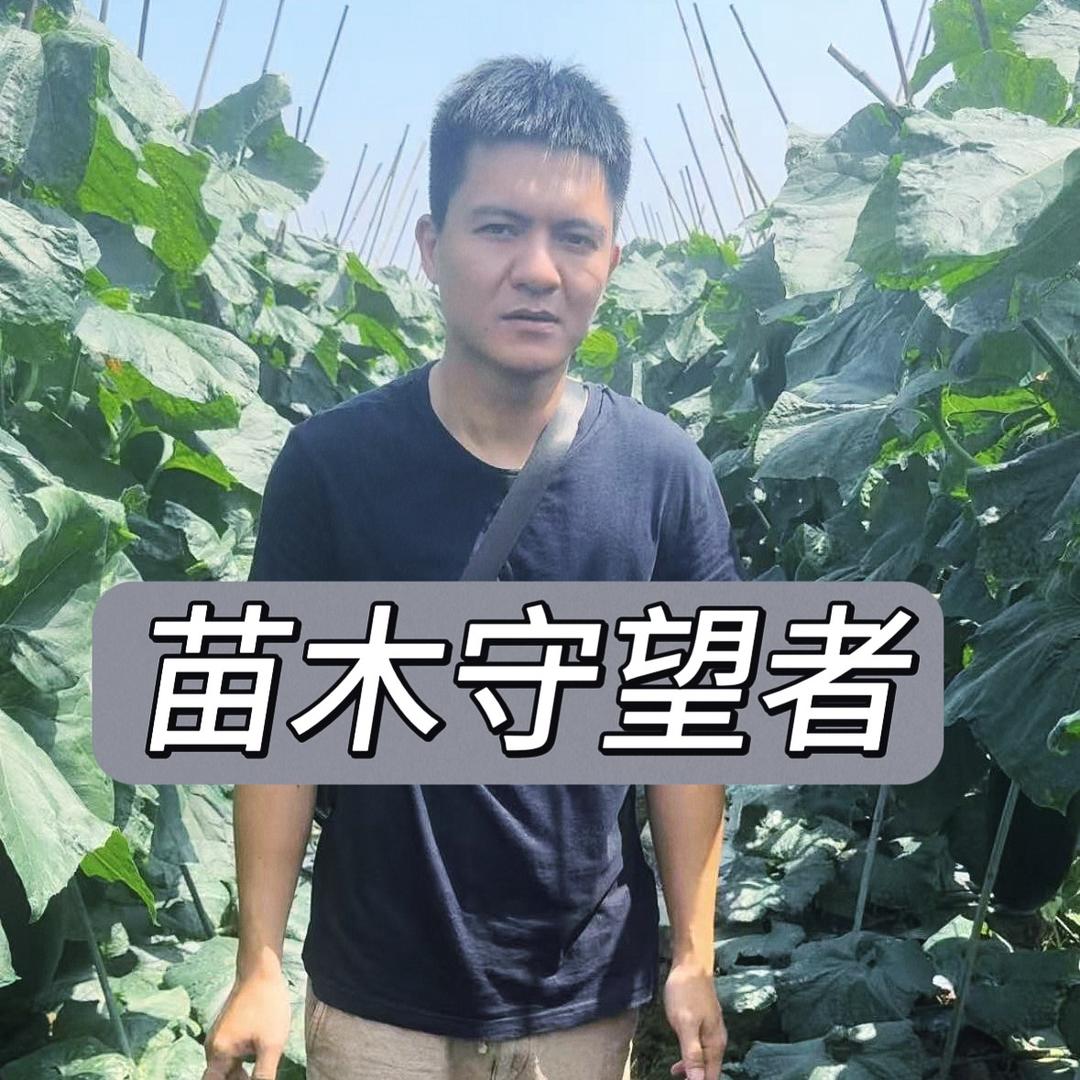 苗木守望者