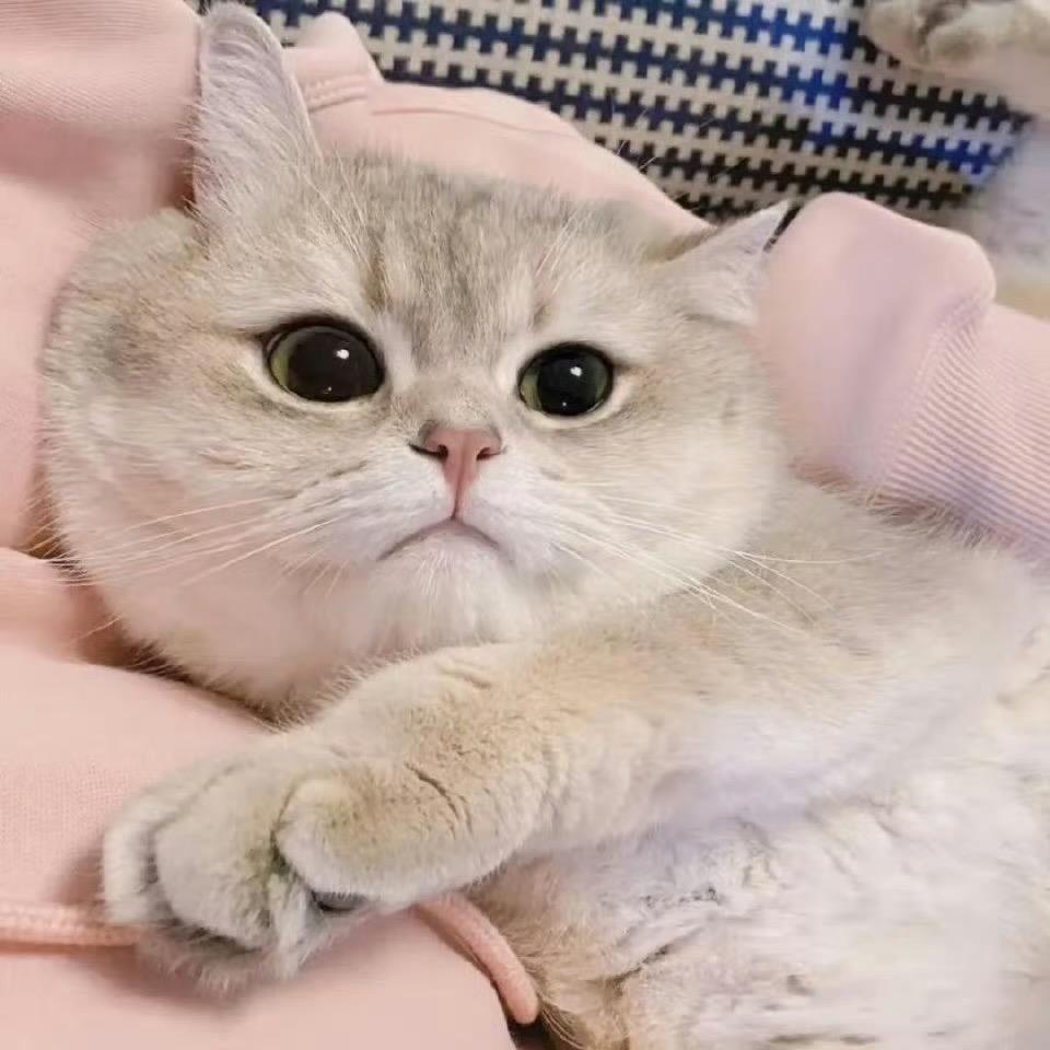 阿福福