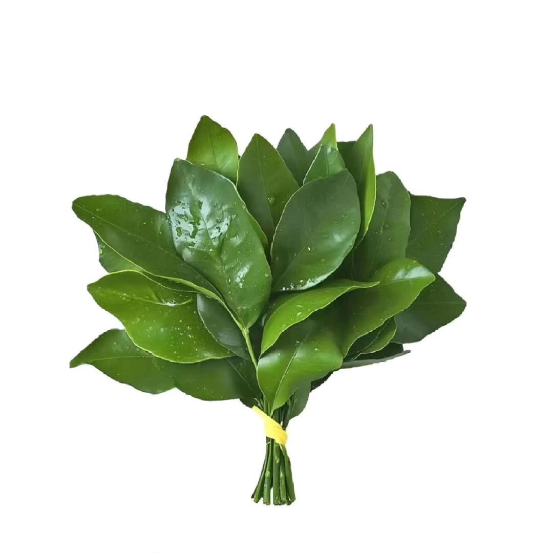 来运