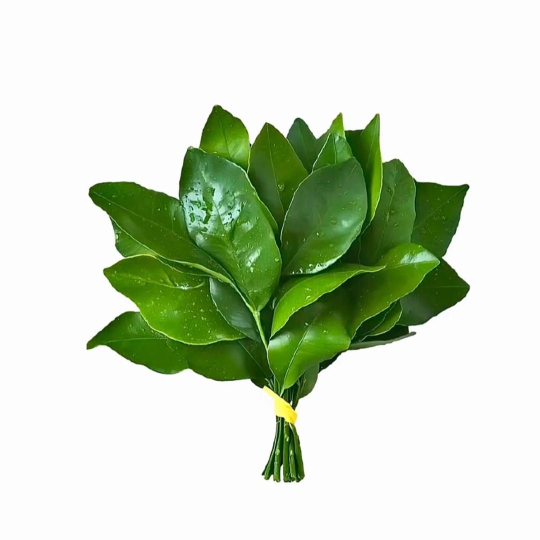 狗屎味的麦丽素