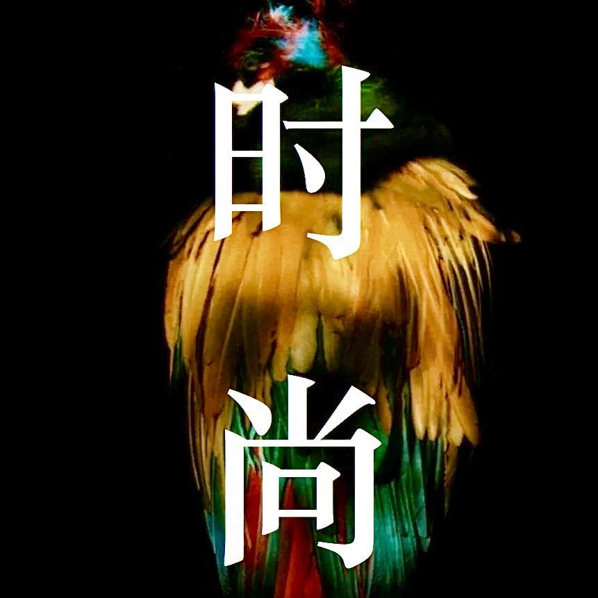 👗时装周T台秀🧥