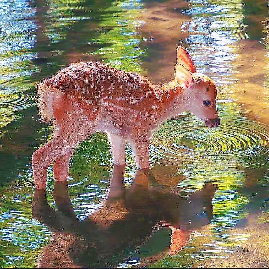 𐂂.ℋ𝓈 •