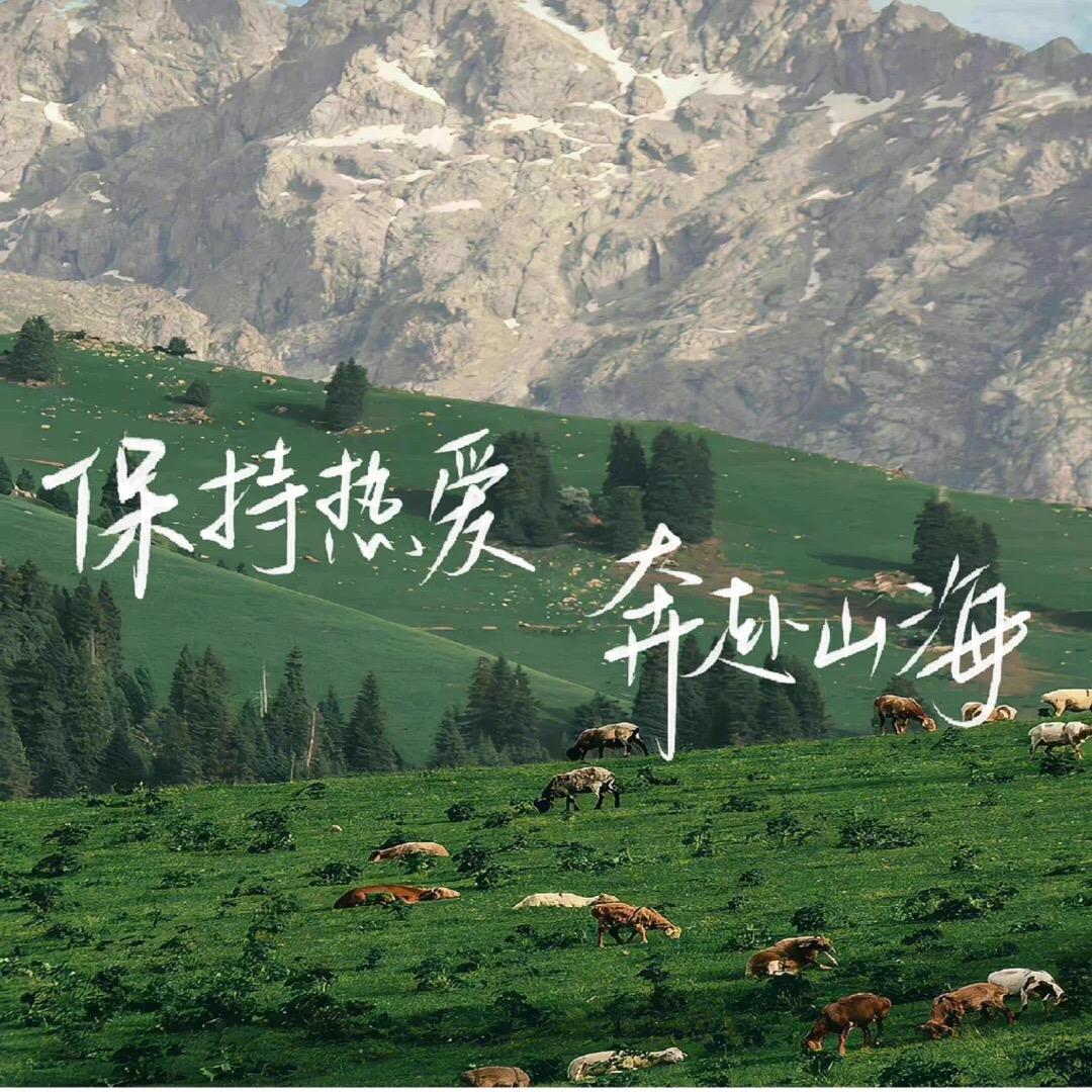 给生活做减法！