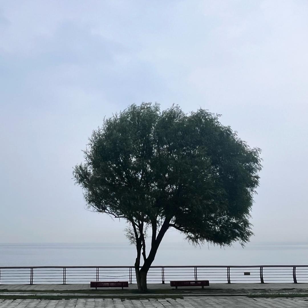 大老宋