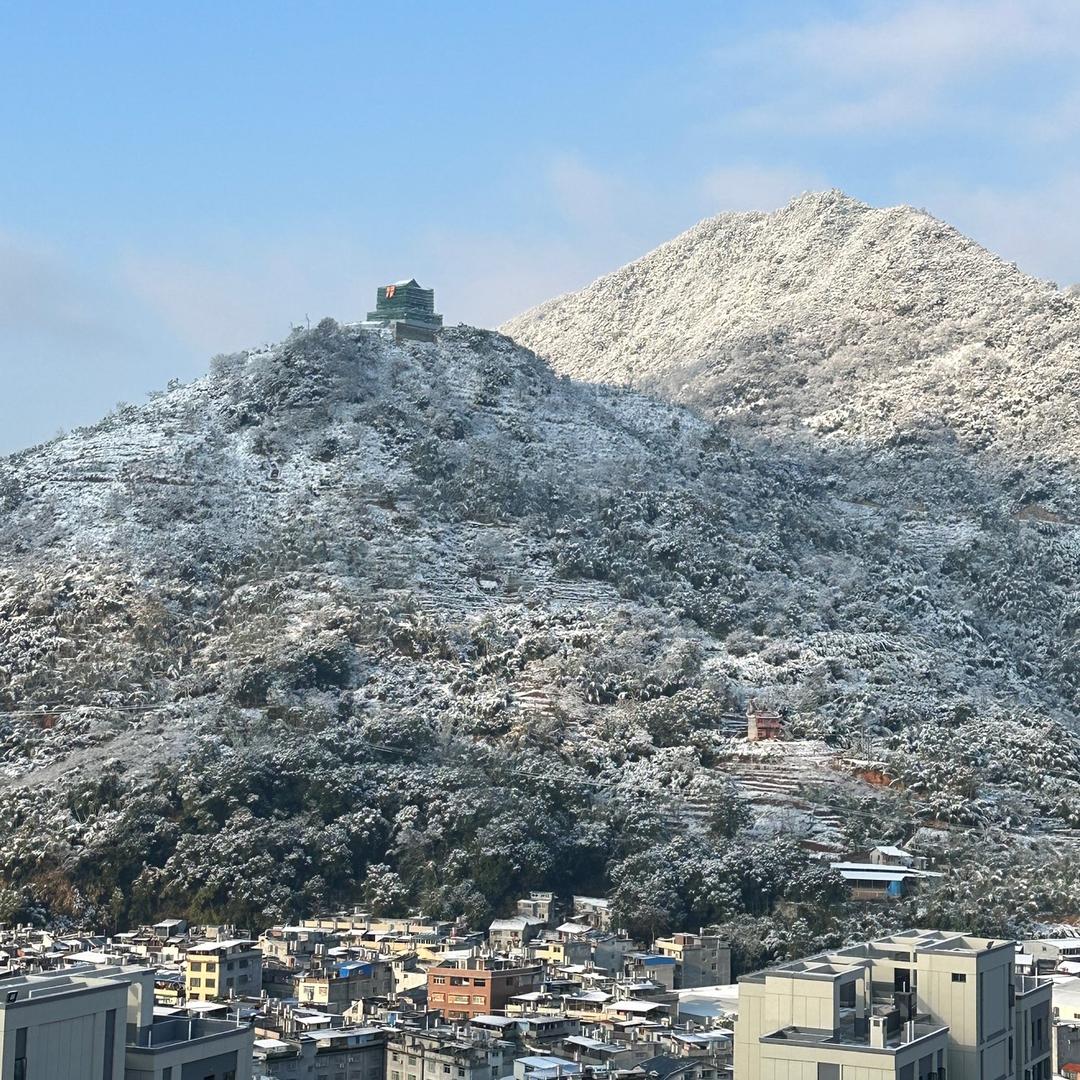 坐忘道红中🀄️