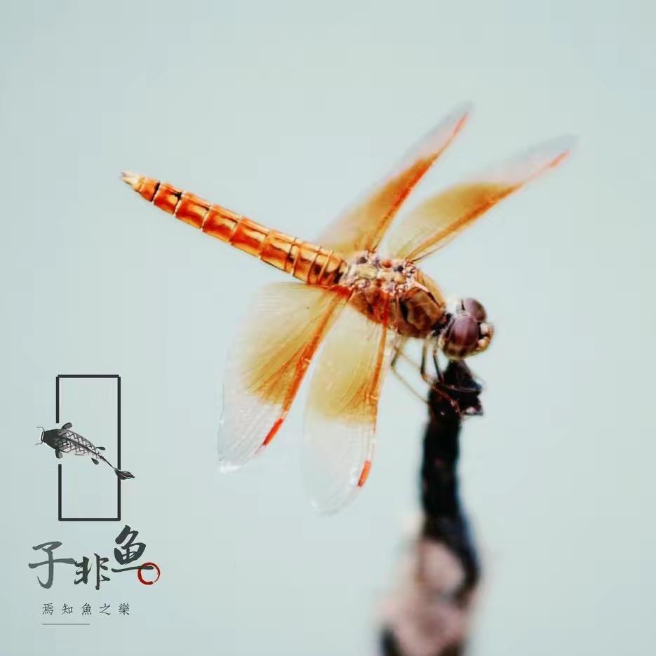 🌈光阴荏苒🌈