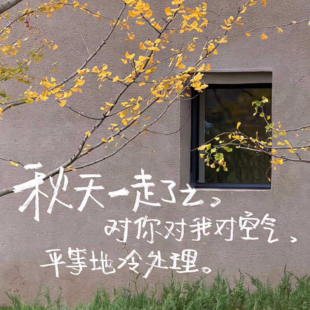 ^o^秋天的落叶^o^
