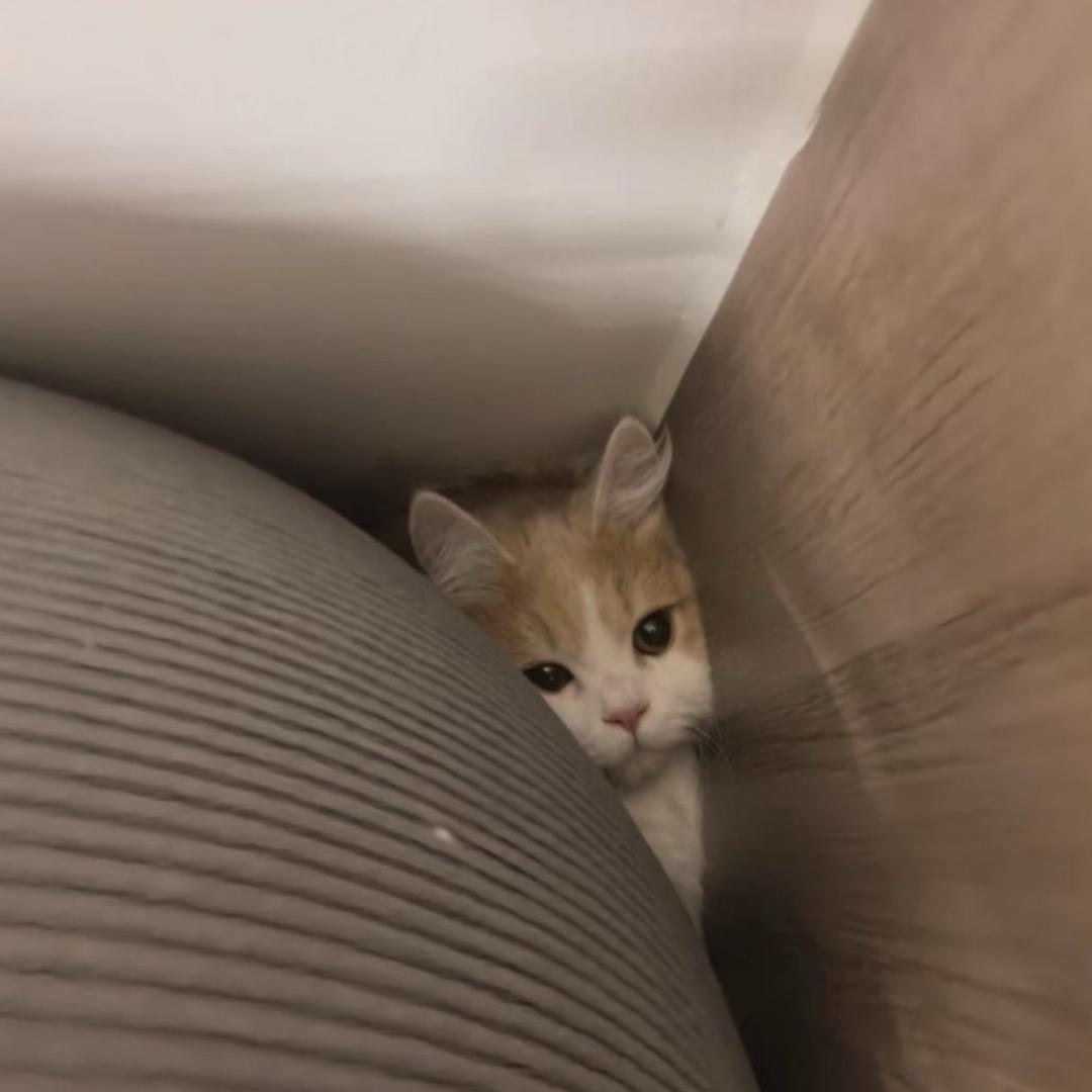 我想怎样就怎样