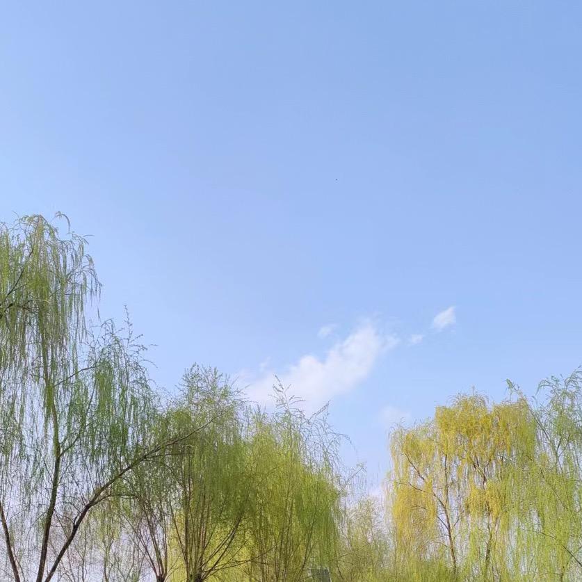 酱酱～