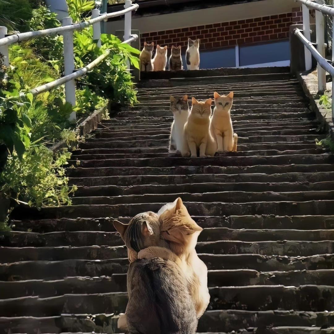 忠坤