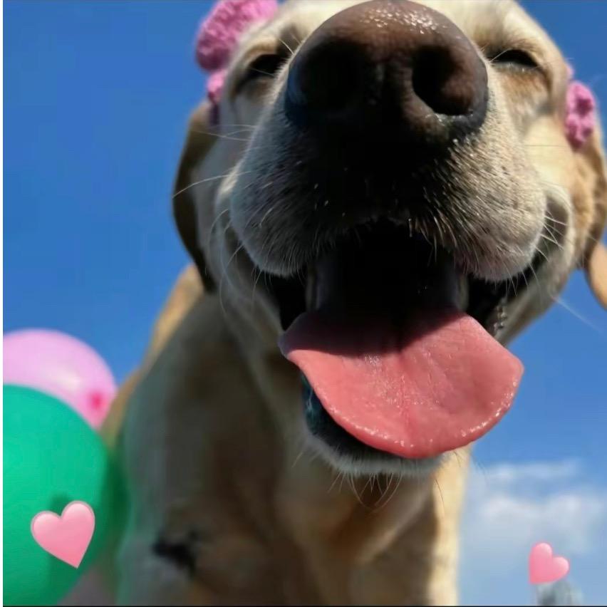 一觉睡到小时候