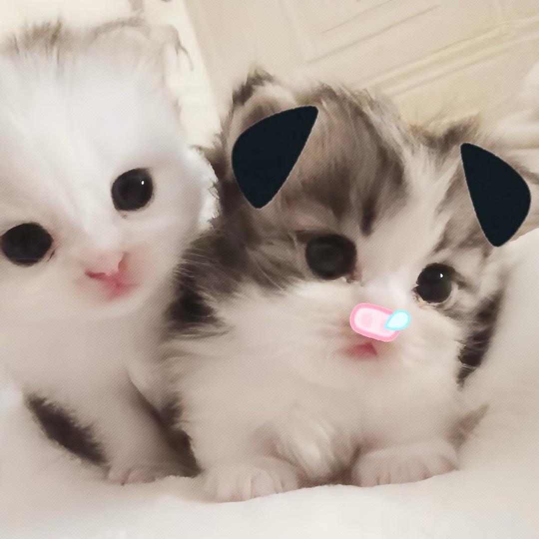 贤贤