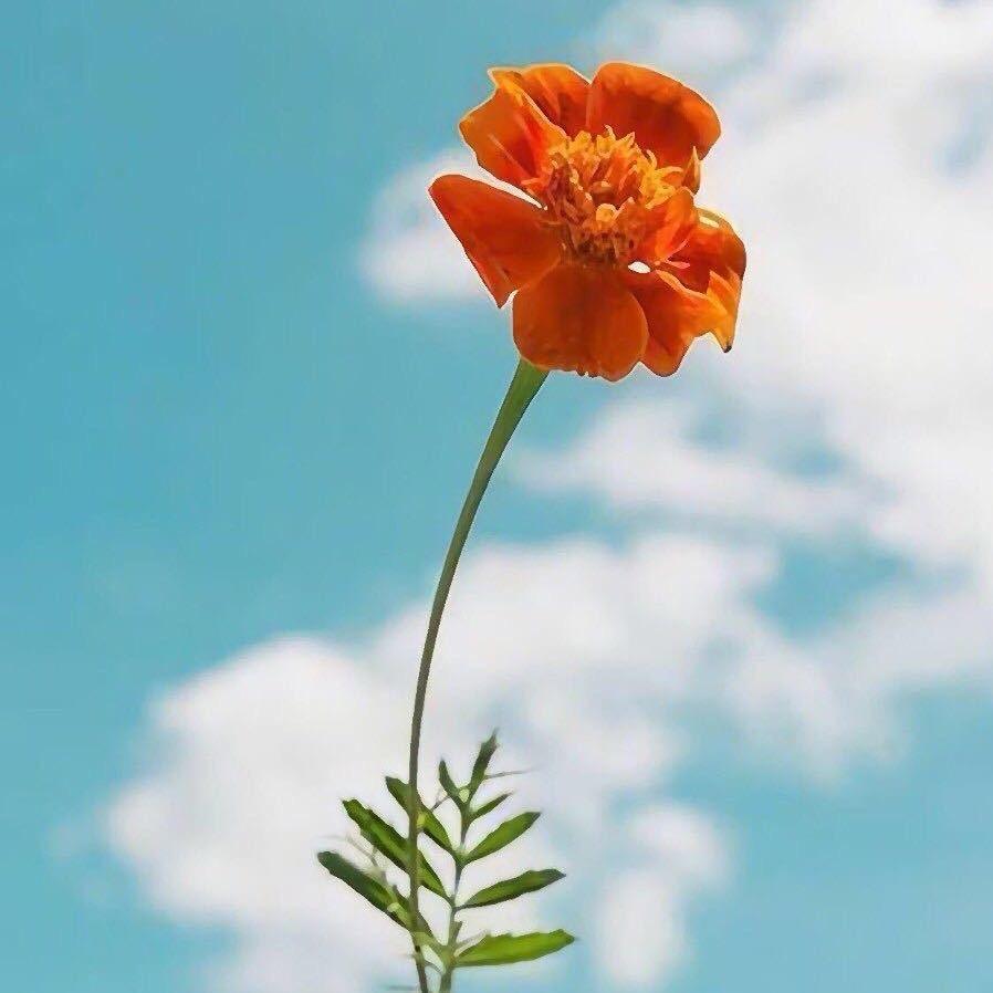一个俗人