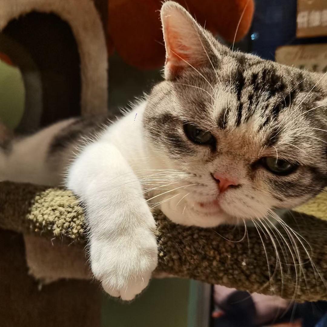 北语留学服务中心徐老师