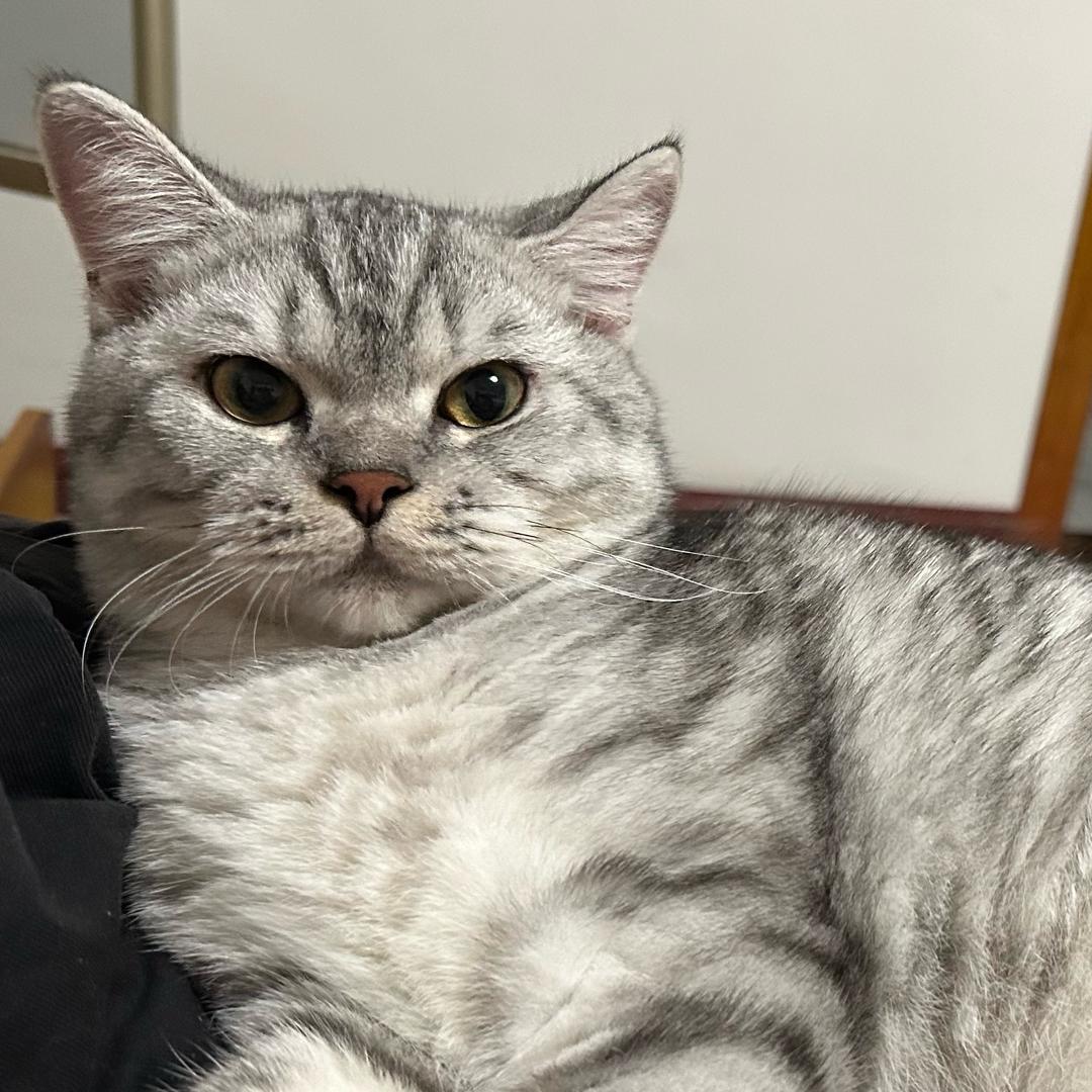 脚踏实地农村入