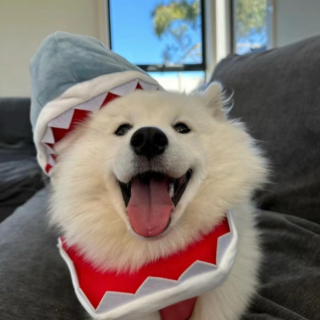 老k的产品体验（发财版）