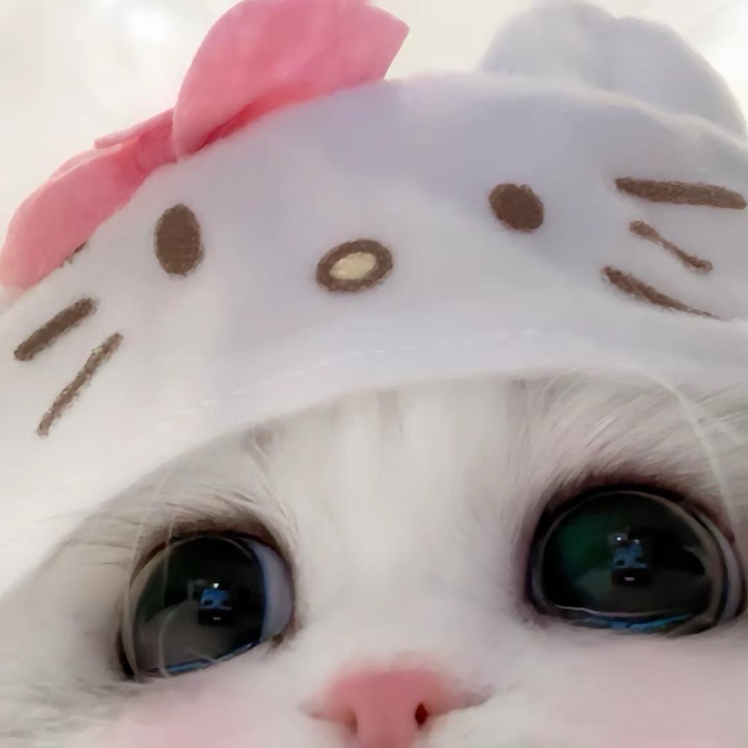 每天睡10个小时