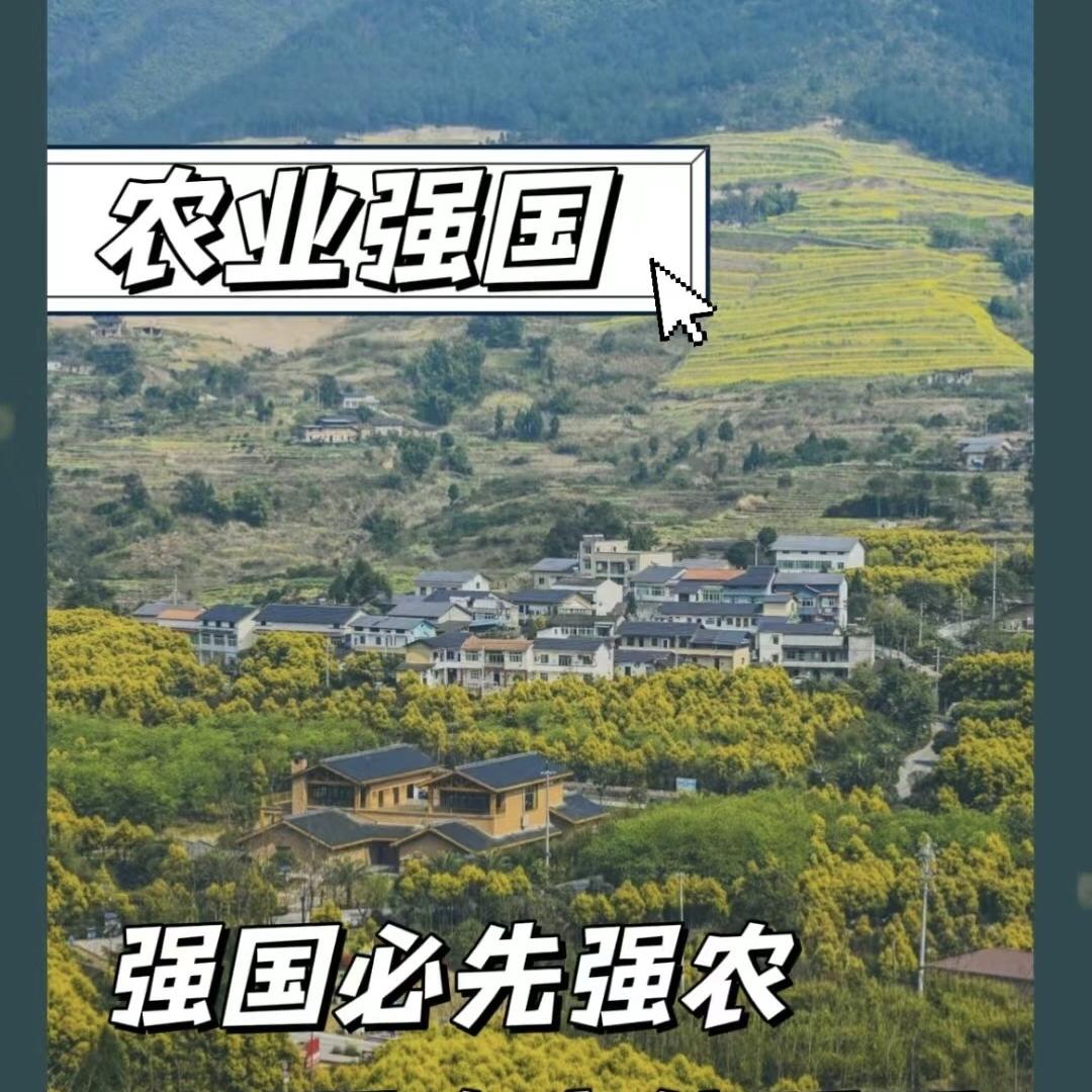 秋豫丰农资店