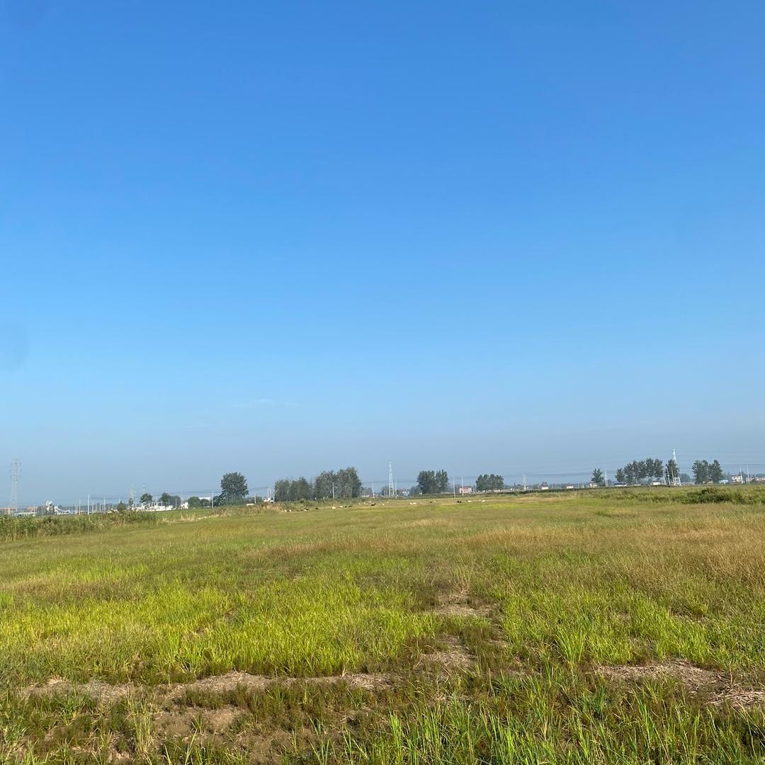 前程似锦鹏程万里