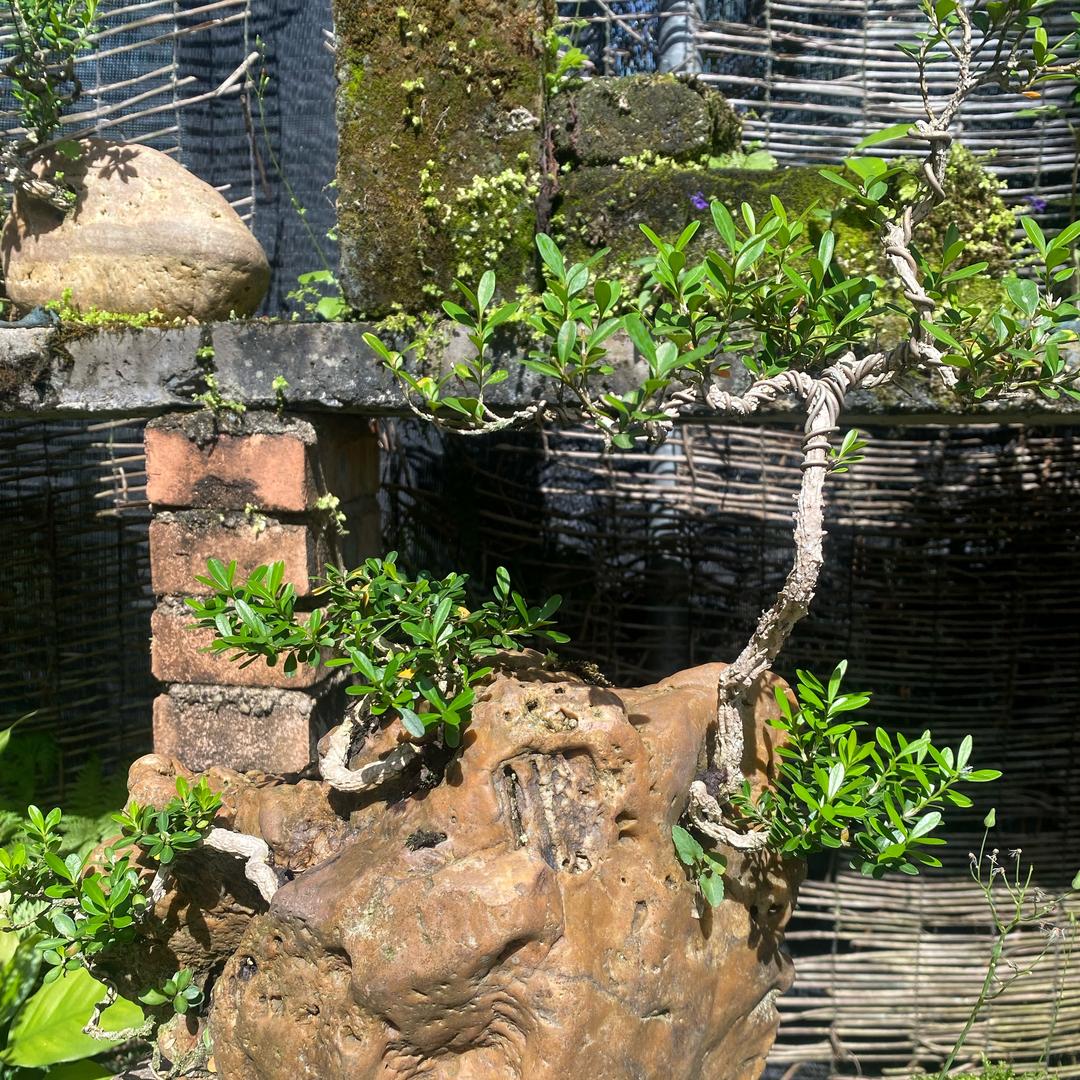 阔步&钱行