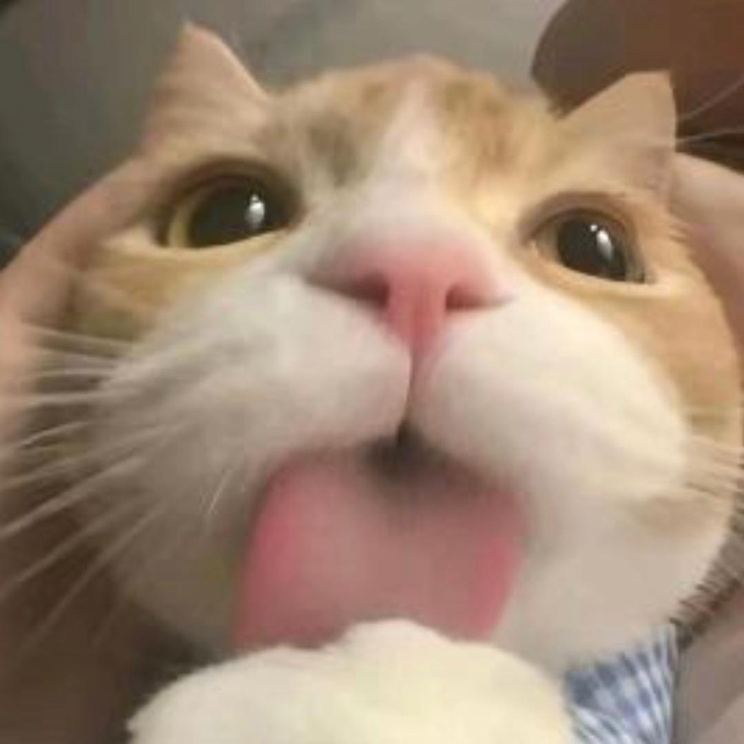 盐多了好涵