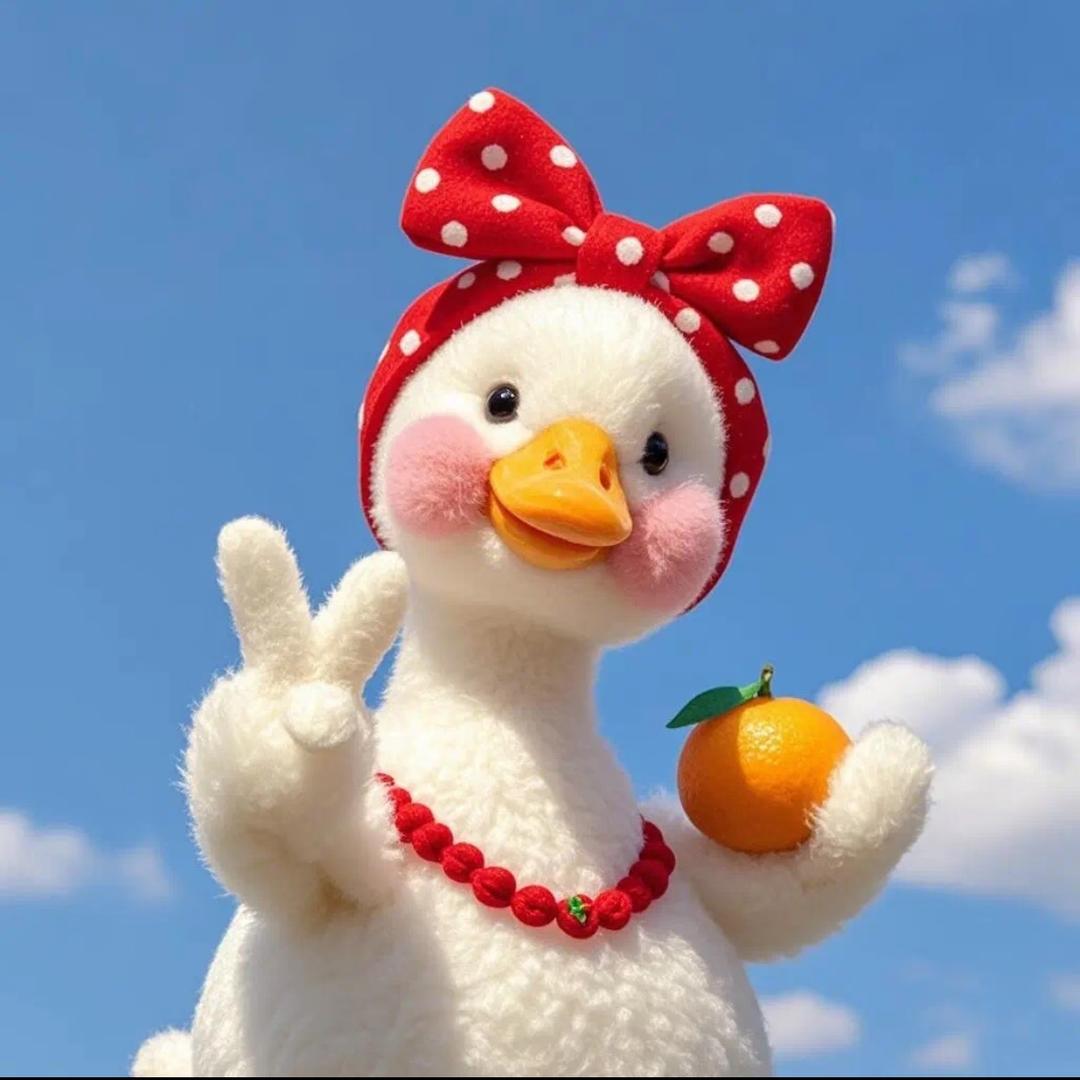 妃妃