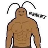 性感母蟑螂