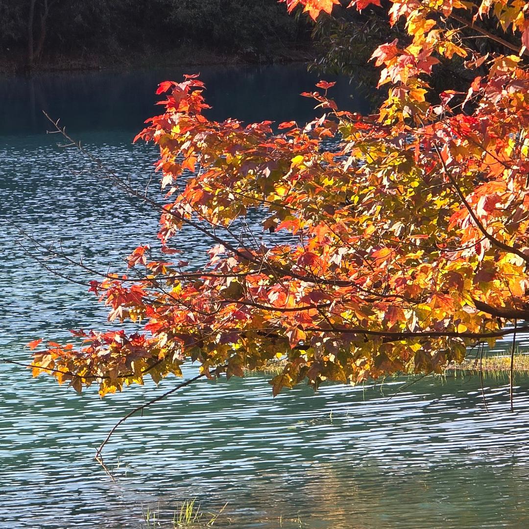 只与山水共清欢