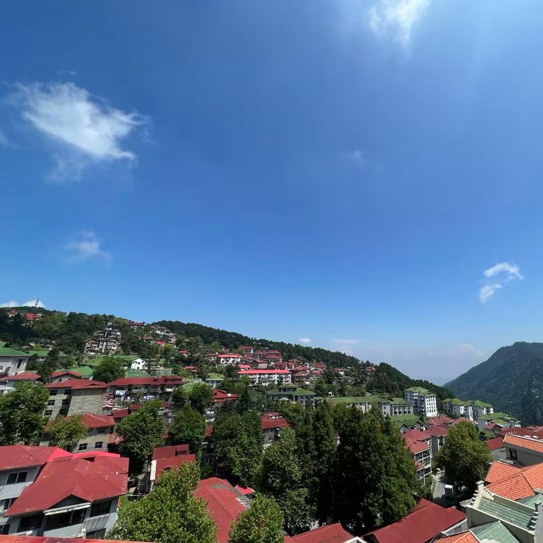 李丽呀
