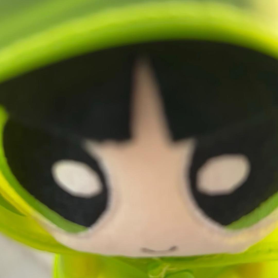 养只电子咪