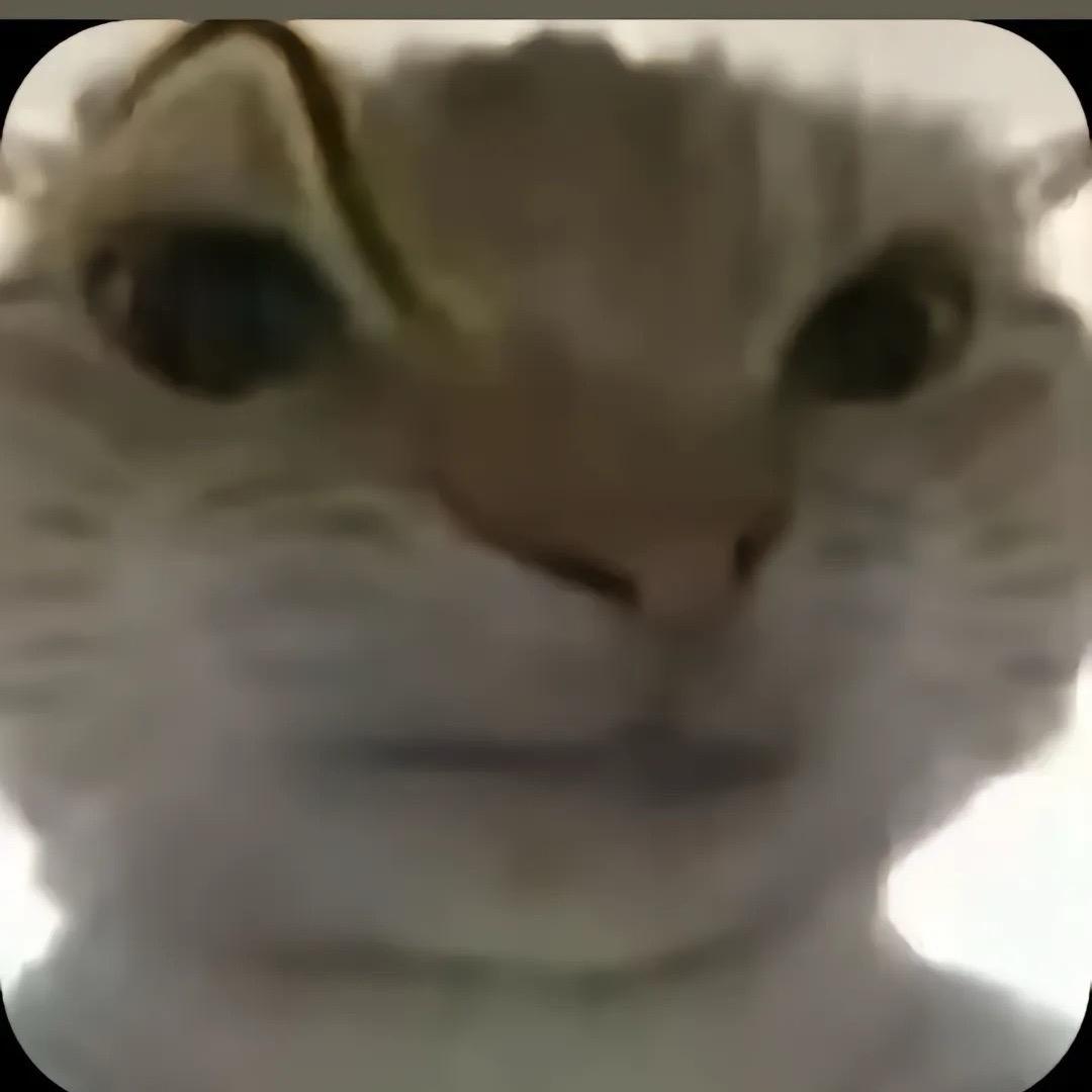 oooooooo