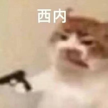 呱呱